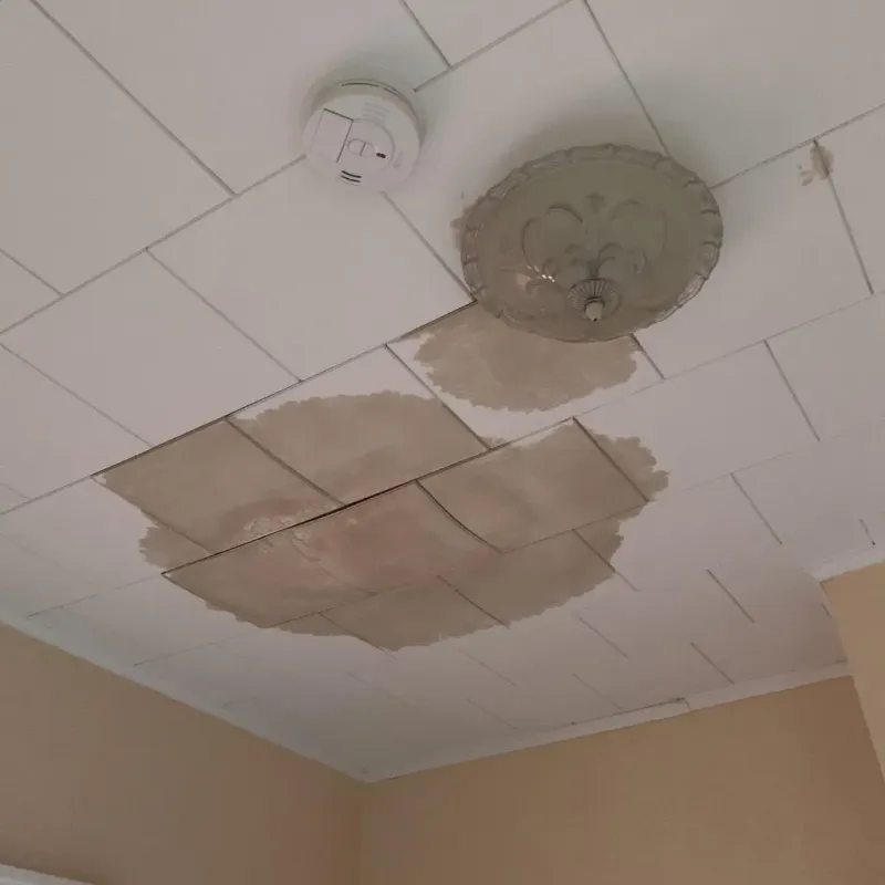 Ceiling Water Damage Repair in Pelham, MA